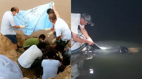 南京长江捞尸事件