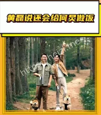 黄磊给何炅做饭