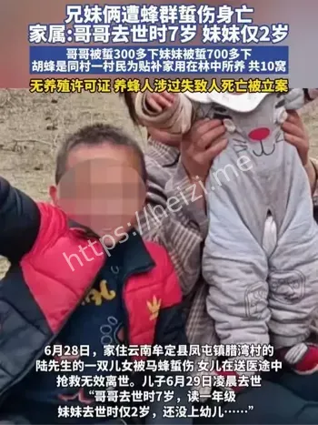 云南牟定一对兄妹被蜂群蜇伤致死